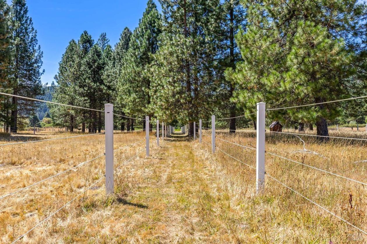Turnkey Horse Property on ~5 Acres - photo 30