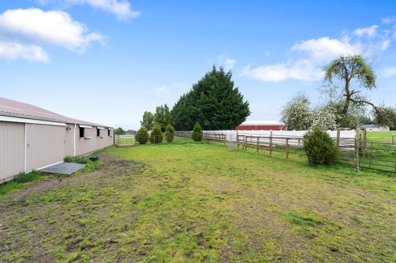 Practical Equestrian - Covered & Outdoor Arena - photo 21