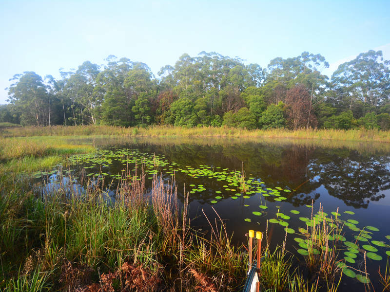 Perfect & Private on 115 Acres.... Nana Glen, Nana Glen County, New