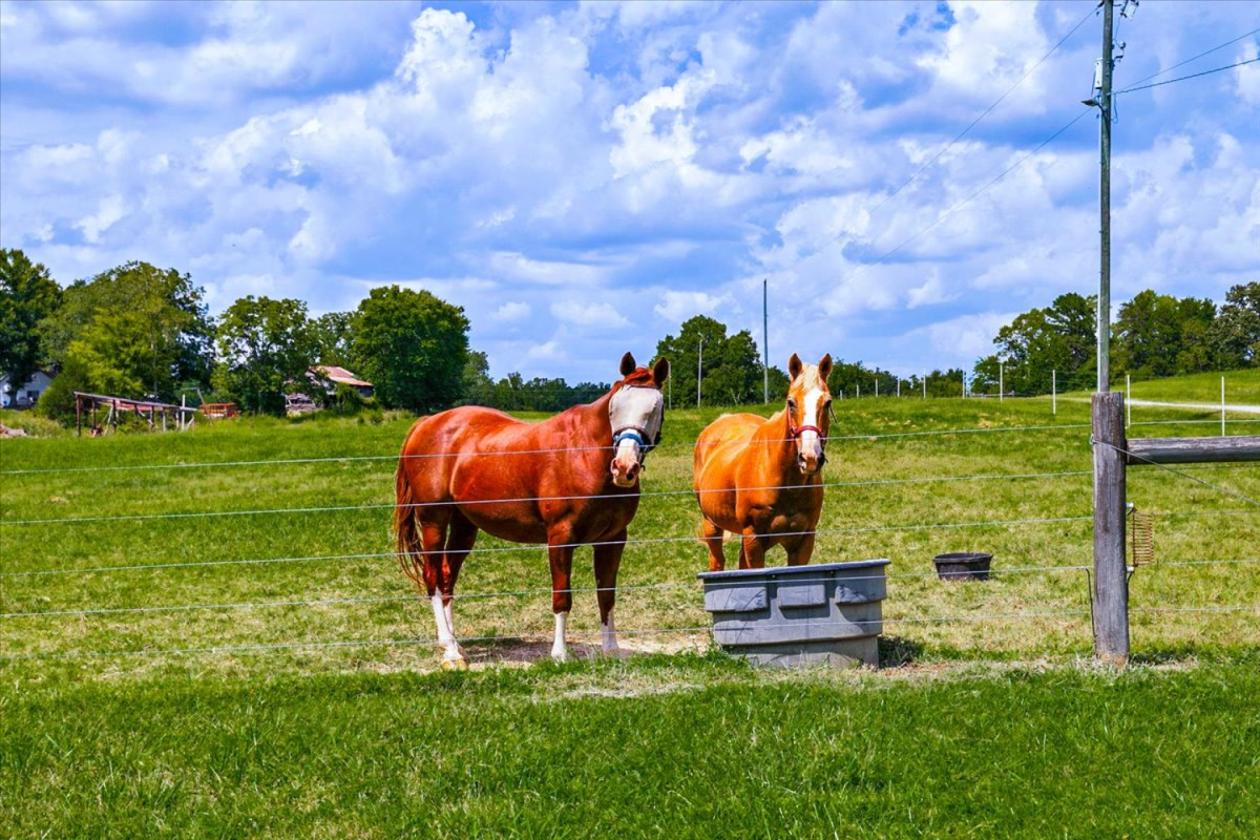 45+ACRE HORSE FARM BETWEEN GREENSBORO & BURLINGTON - photo 12