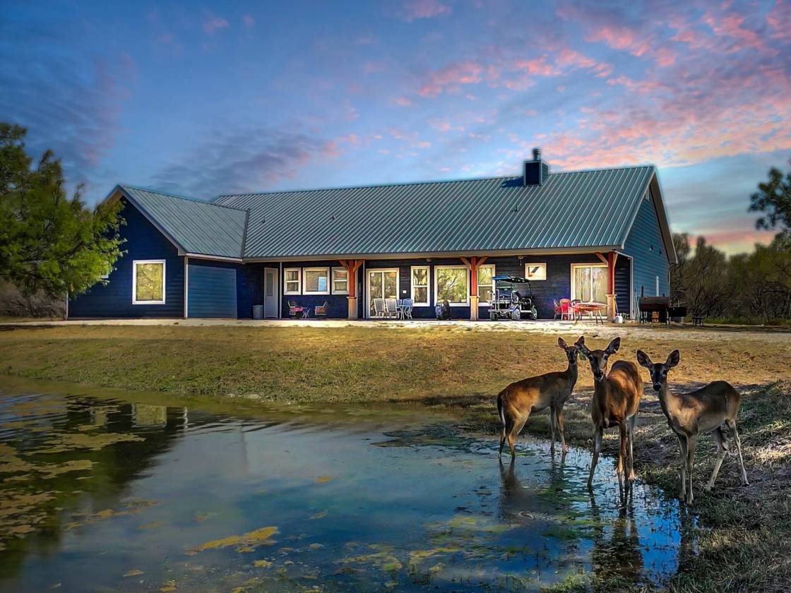 Horse Property for sale.