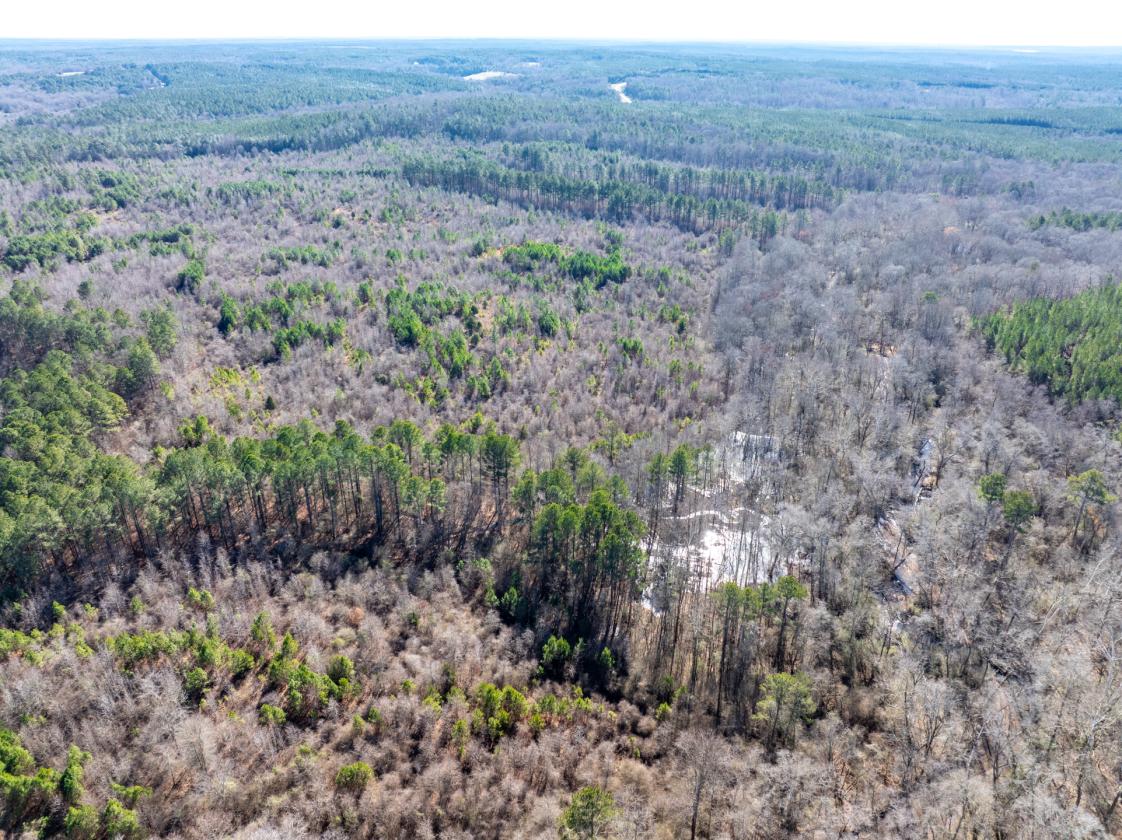 211 Acres- Luxury Estate & Equestrian Development - photo 22