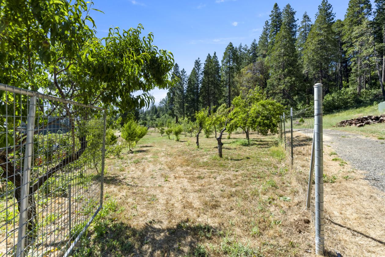 Beautiful Apple Hill Property - photo 25