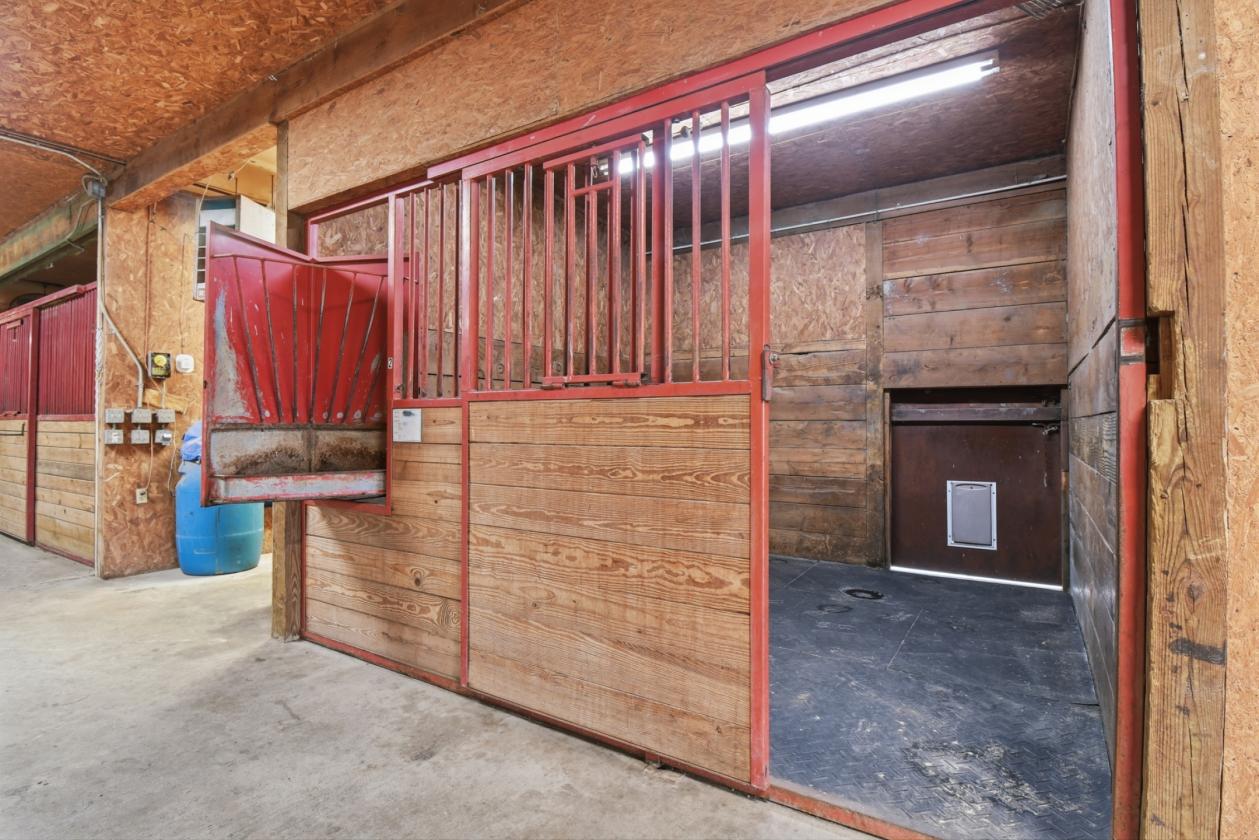 Equestrian Dream with Deluxe Horse Setup - photo 14