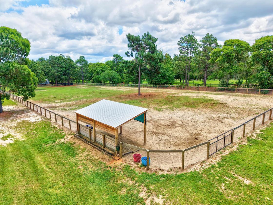 Camden Horse Farm - Miles of Trails - photo 12