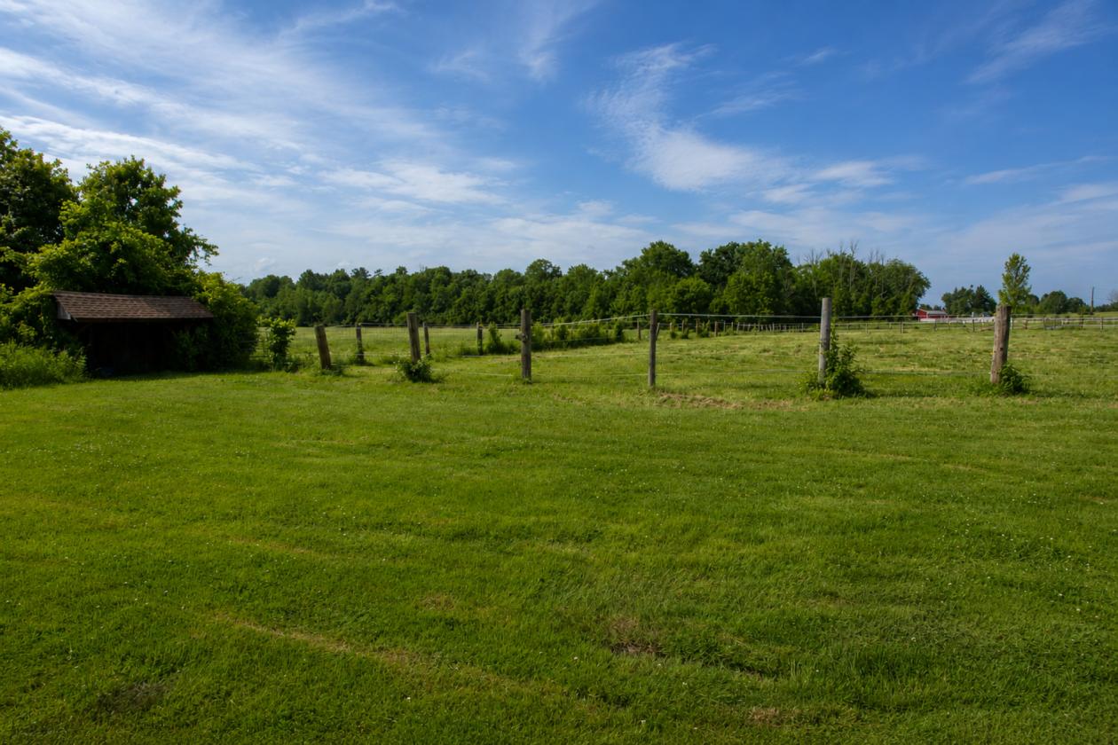 Turnkey Horse Farm on 59 Acres - photo 21