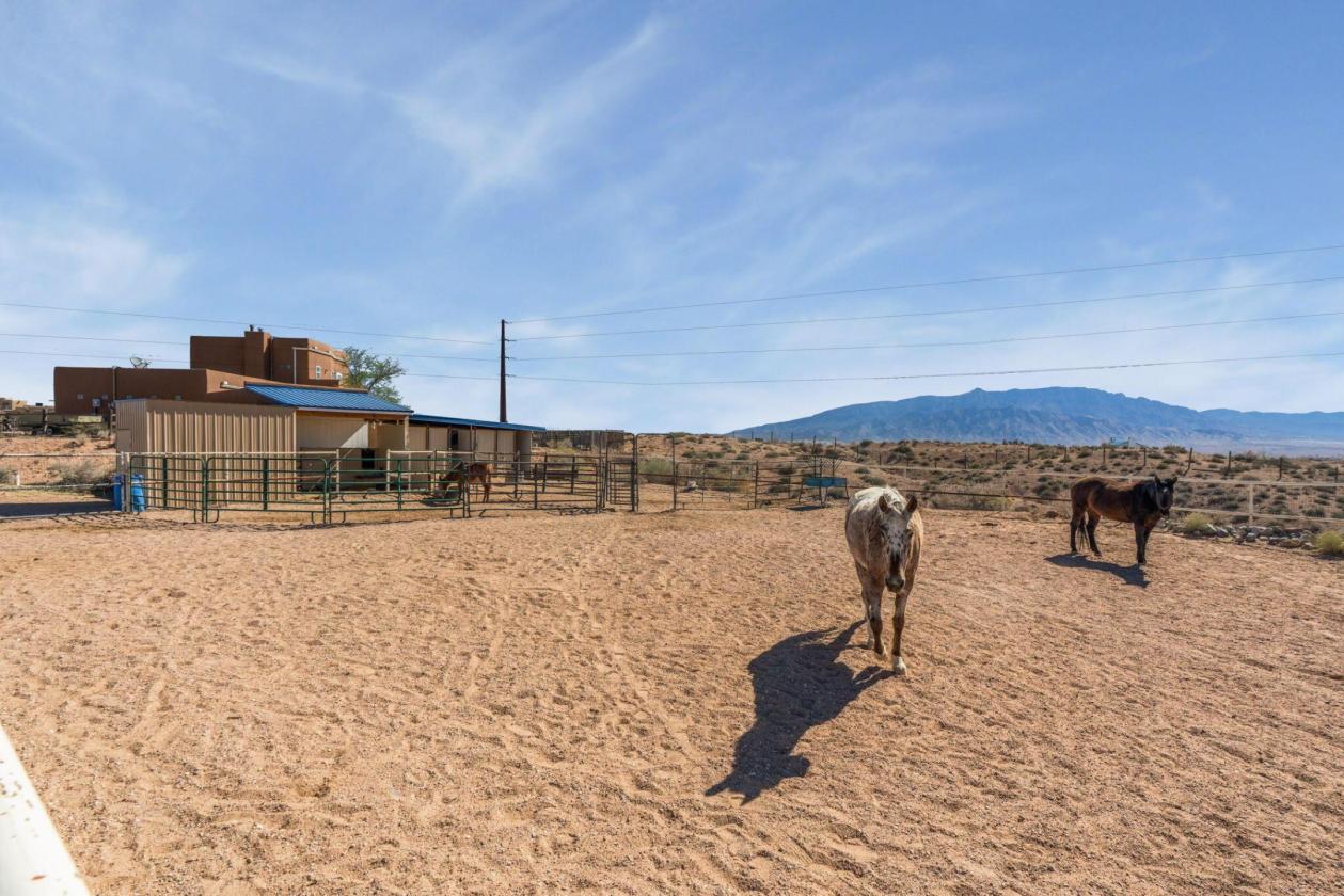 Horse property with gorgeous views - photo 27