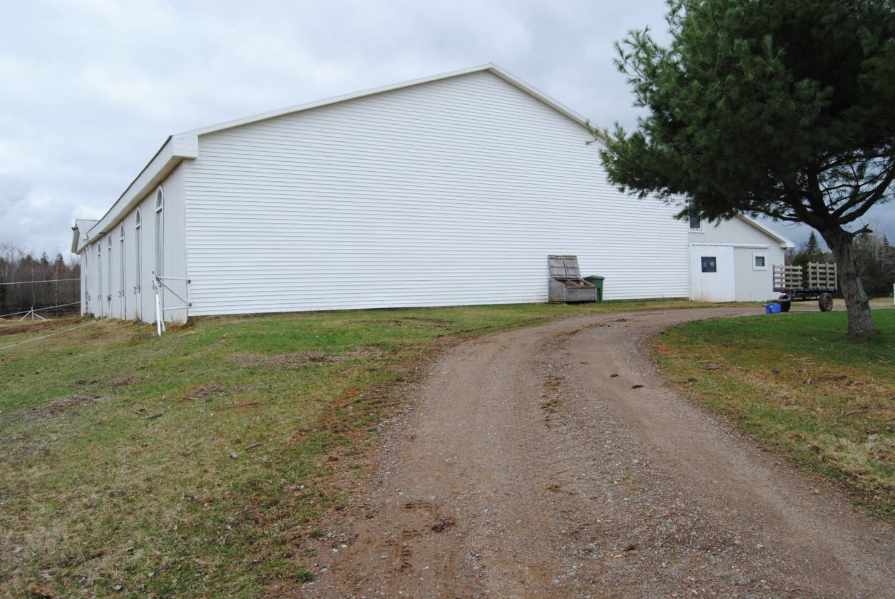 Nova Scotia Canada Horse Lover's Paradise Upper Nine Mile River