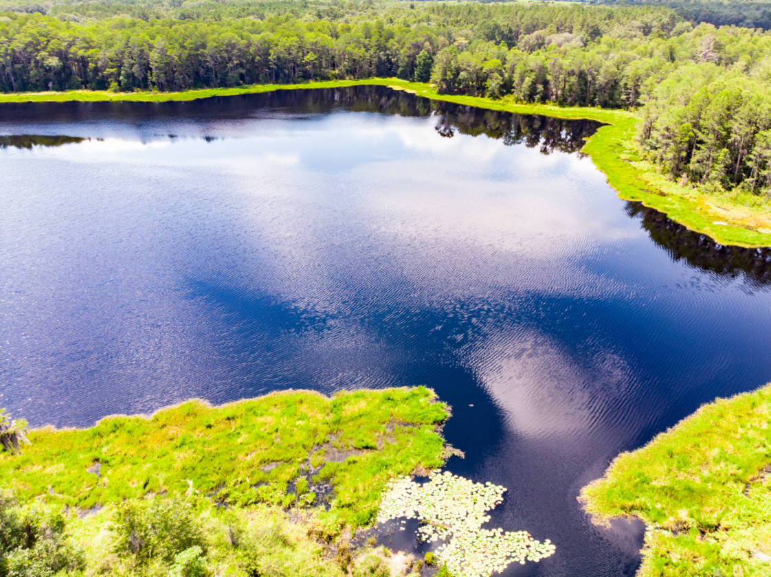 Rooks Ranch 2,193 Acres +\ Operating Cattle Ranch, Row Crop