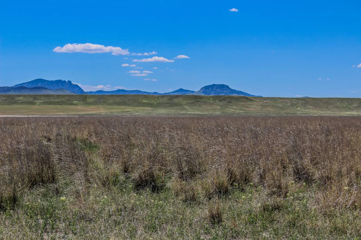 Horse Property for sale.