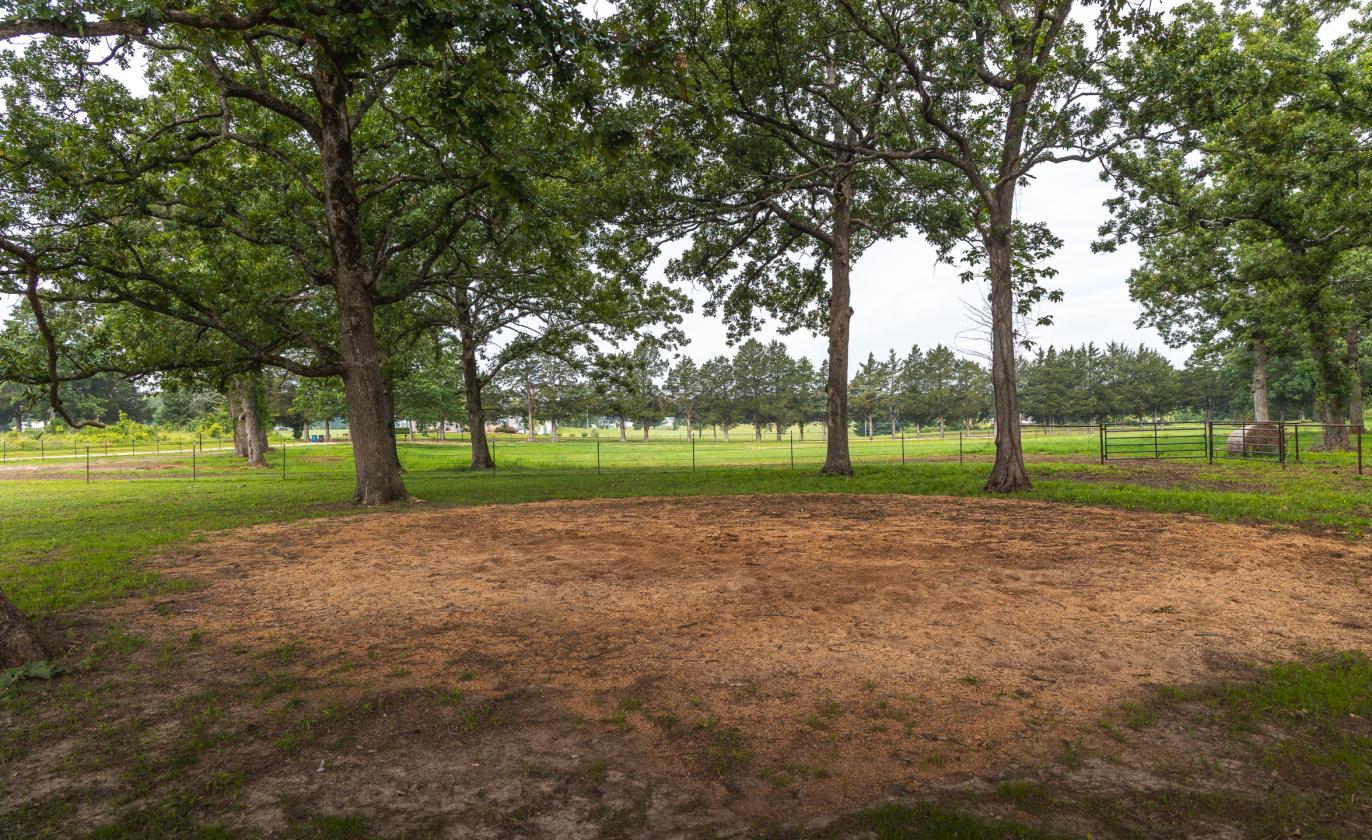 Cuba Countyside Retreat - photo 22