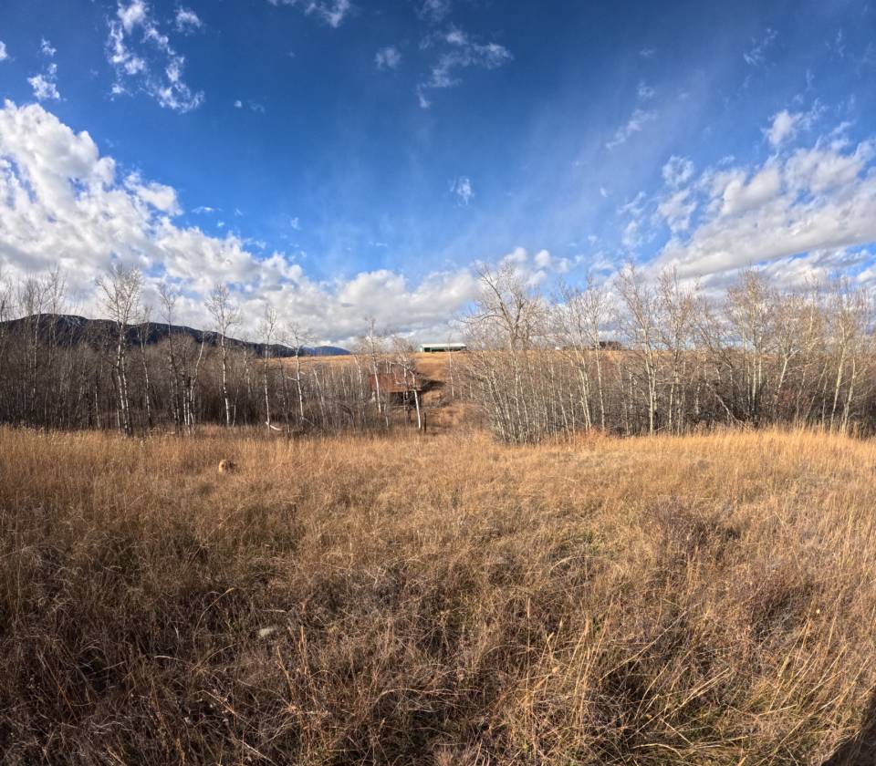 15.268 Acres! Creeks! Trails! Views! Meadows! - photo 29