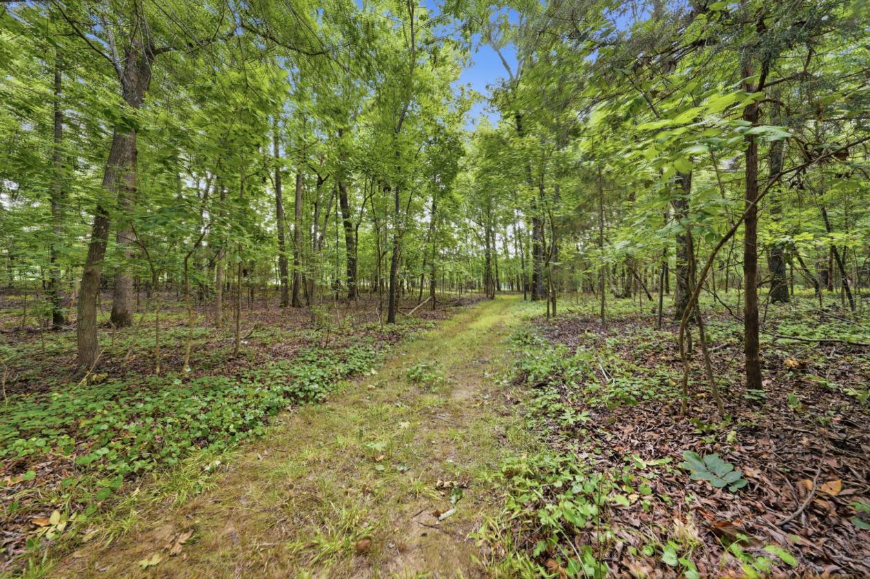 63-Acre Luxury Equestrian Estate - photo 29