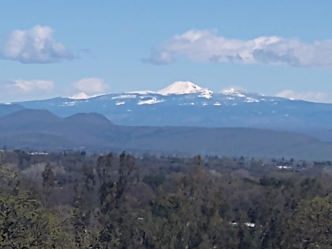 Utilities, Barn, and Mountain Views! - photo 18