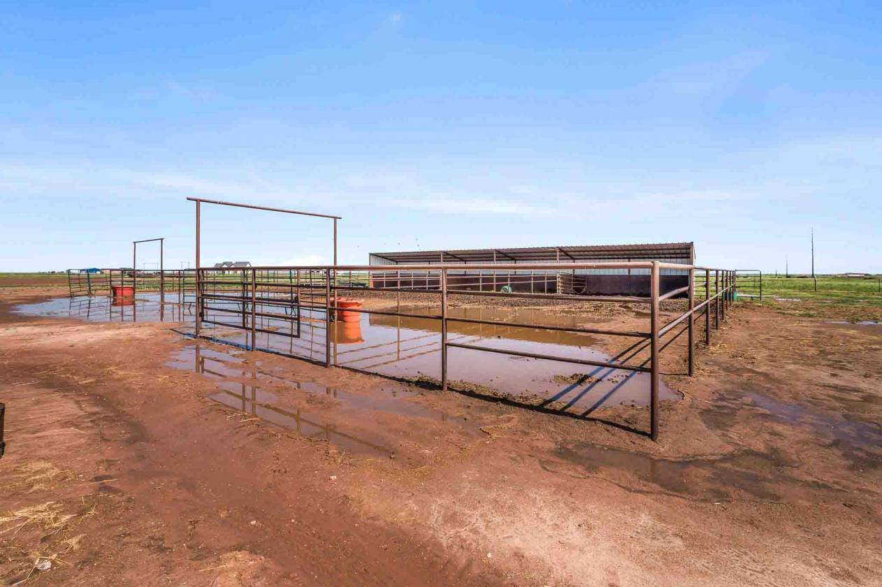 Horse Property for sale.