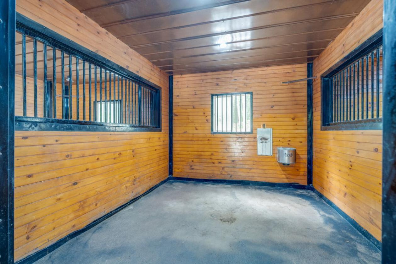Mountain Home with Horse Barn and 5 Acres - photo 18