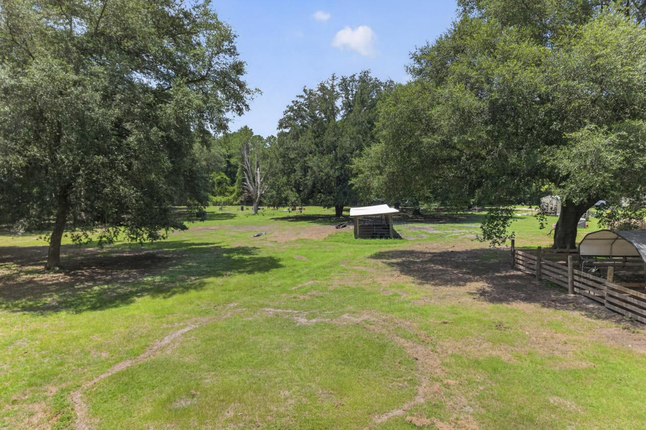 10-acre agricultural property - photo 5