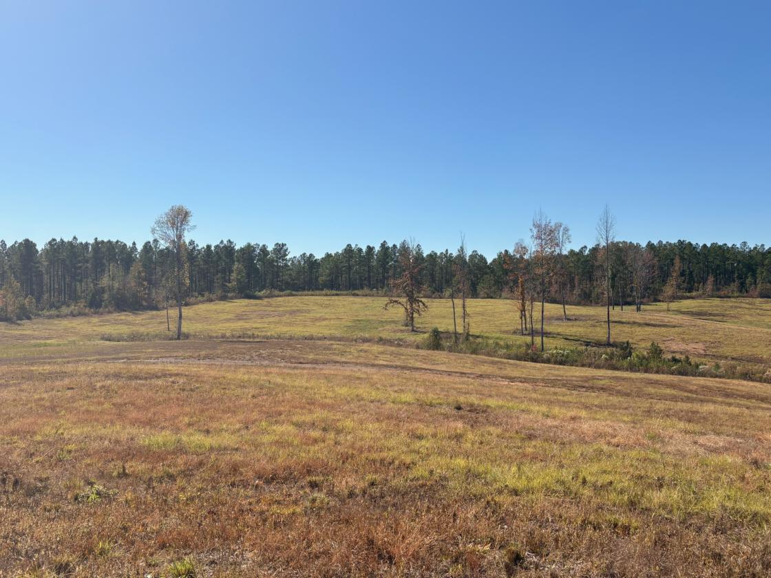160 Acres in Shelby County w/ pastures and lake - photo 10