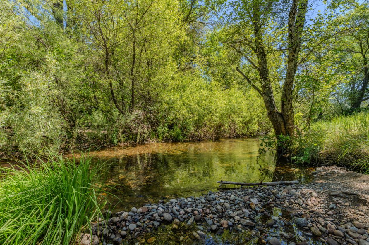 40 Acres - Fully ADA/Wheelchair Accessible - photo 30