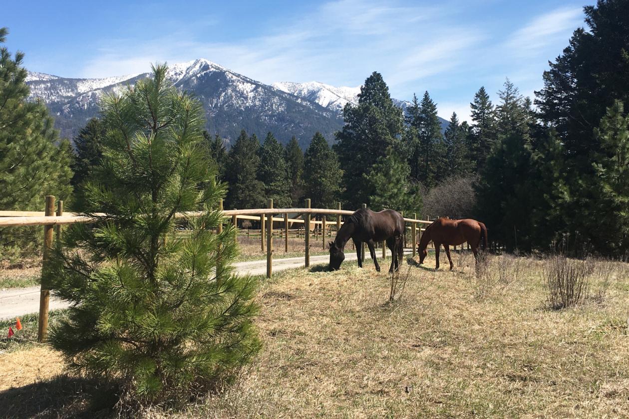 Horse Ranch Near Glacier National Park | Mountain Views! - photo 1