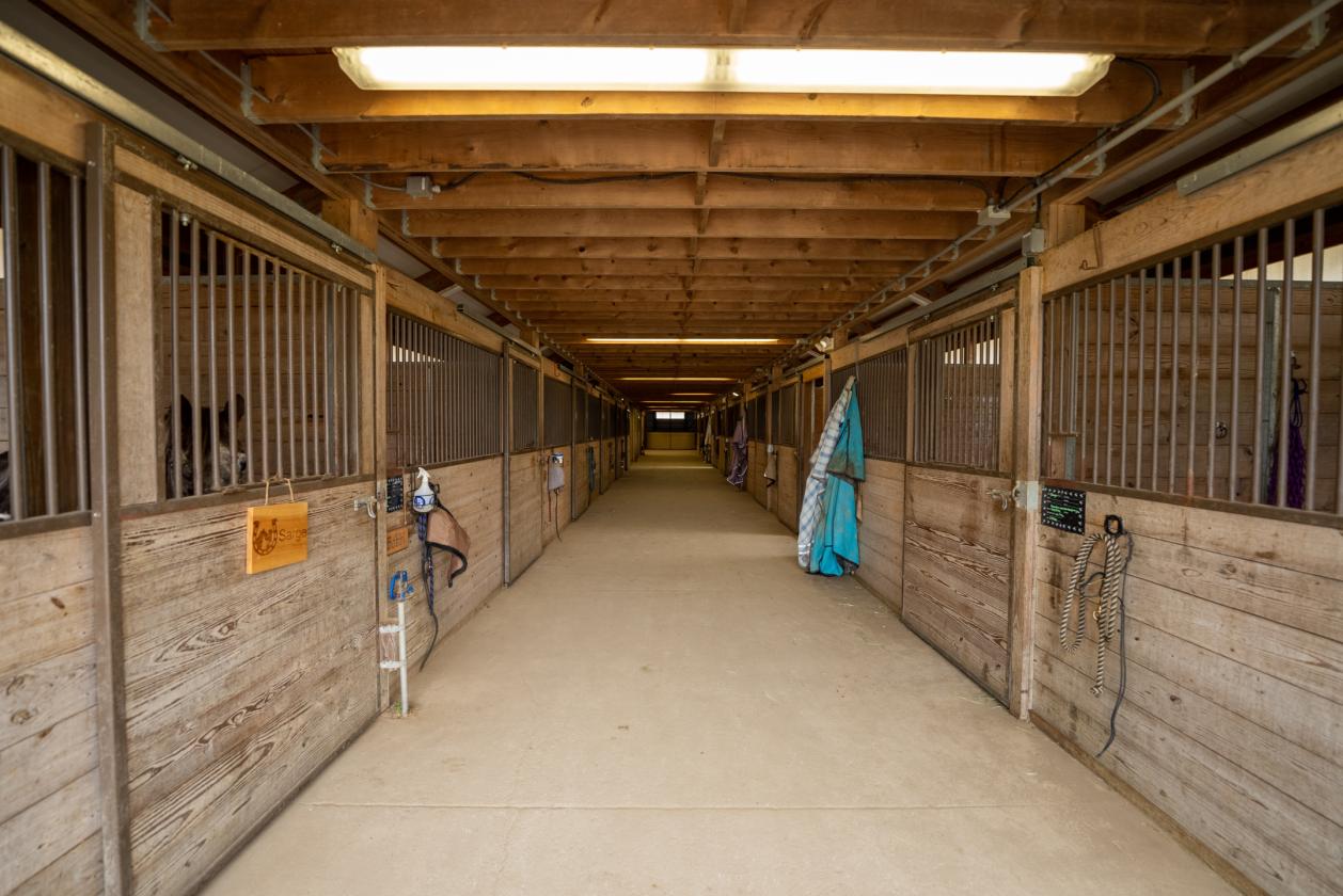 40 Stalls. 103 Acres. One Chance. Serenity Equine - photo 5