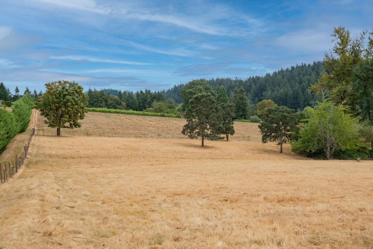 Oregon horse and hobby farm near town - photo 13