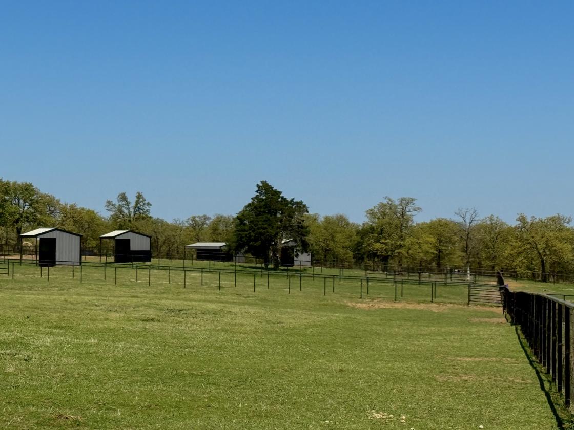 WORLD CLASS EQUESTRIAN ESTATE - photo 12