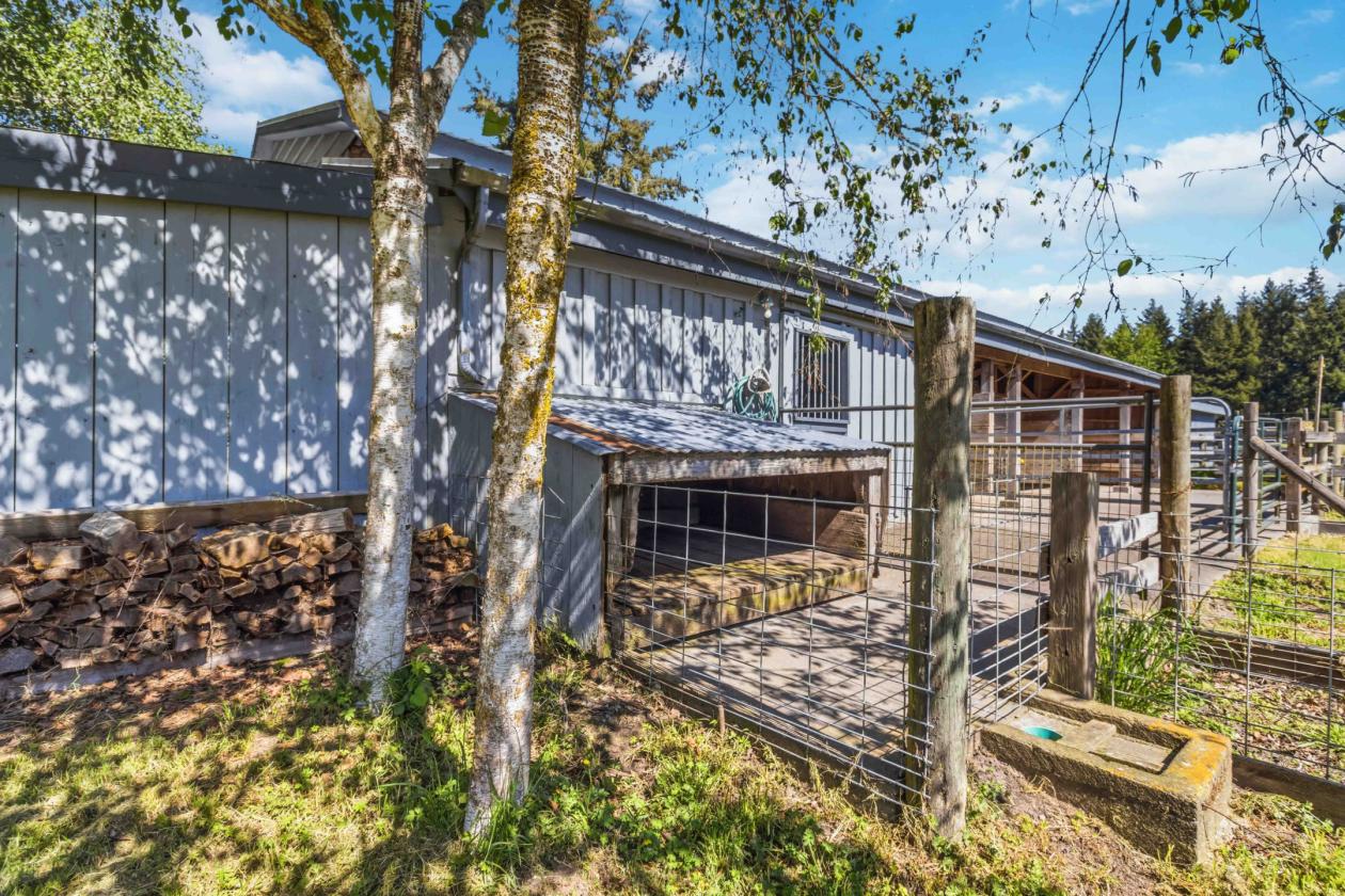 15 Beautiful Equestrian Acres backing Timberland - photo 12