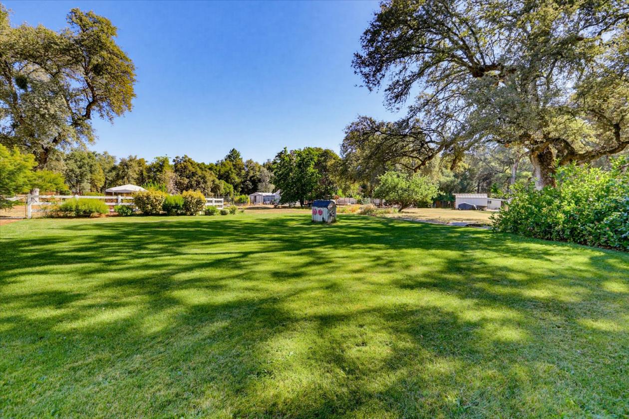 Horse Property with Endless Possibilities - photo 17