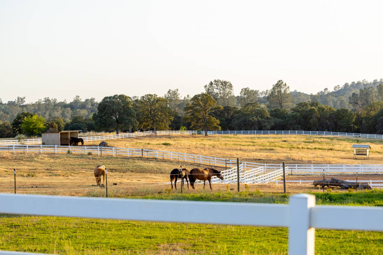 80 acre w/ 3-4 homes, 2 barns & 2 arenas +++ - photo 5