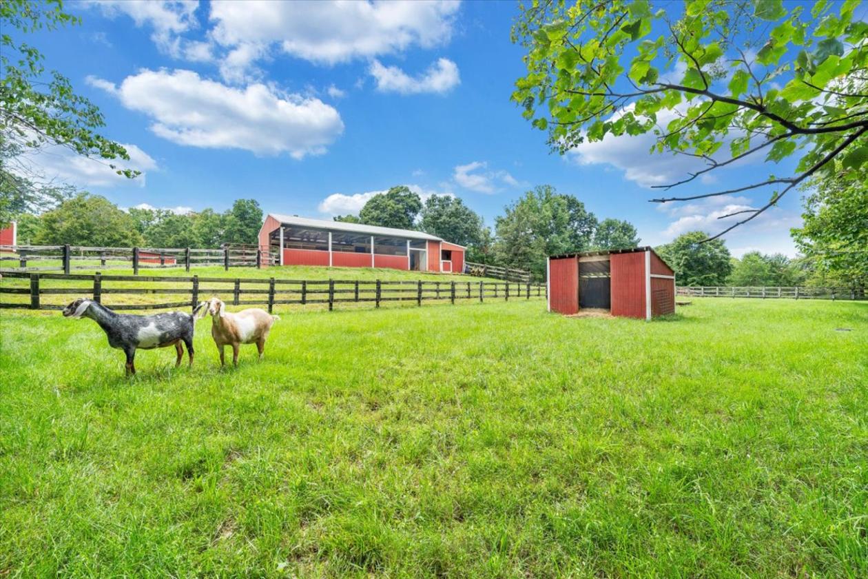 Private Setting Horse Farm - photo 22