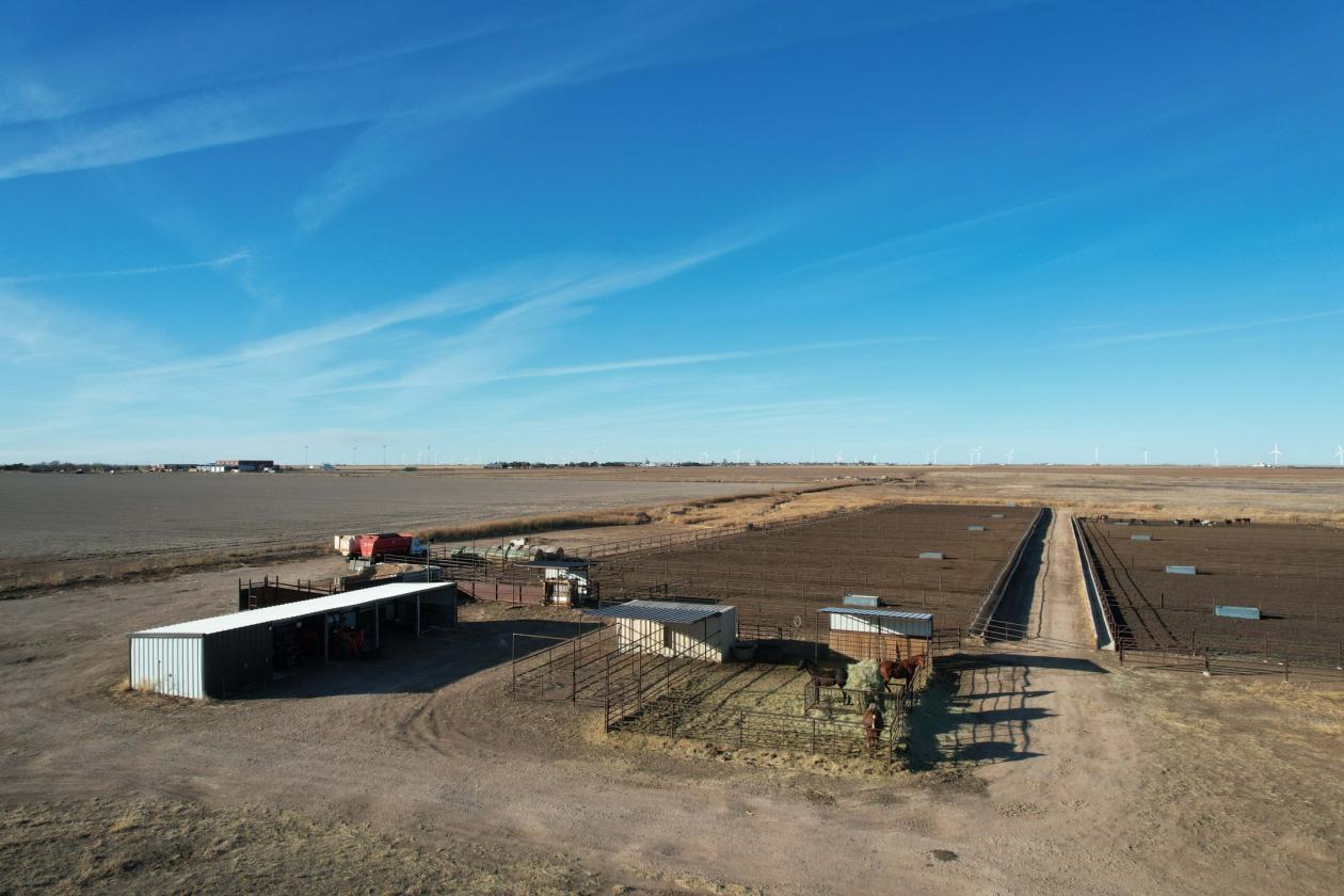 Feedyard & Equine Facility with Modern Homes - photo 4