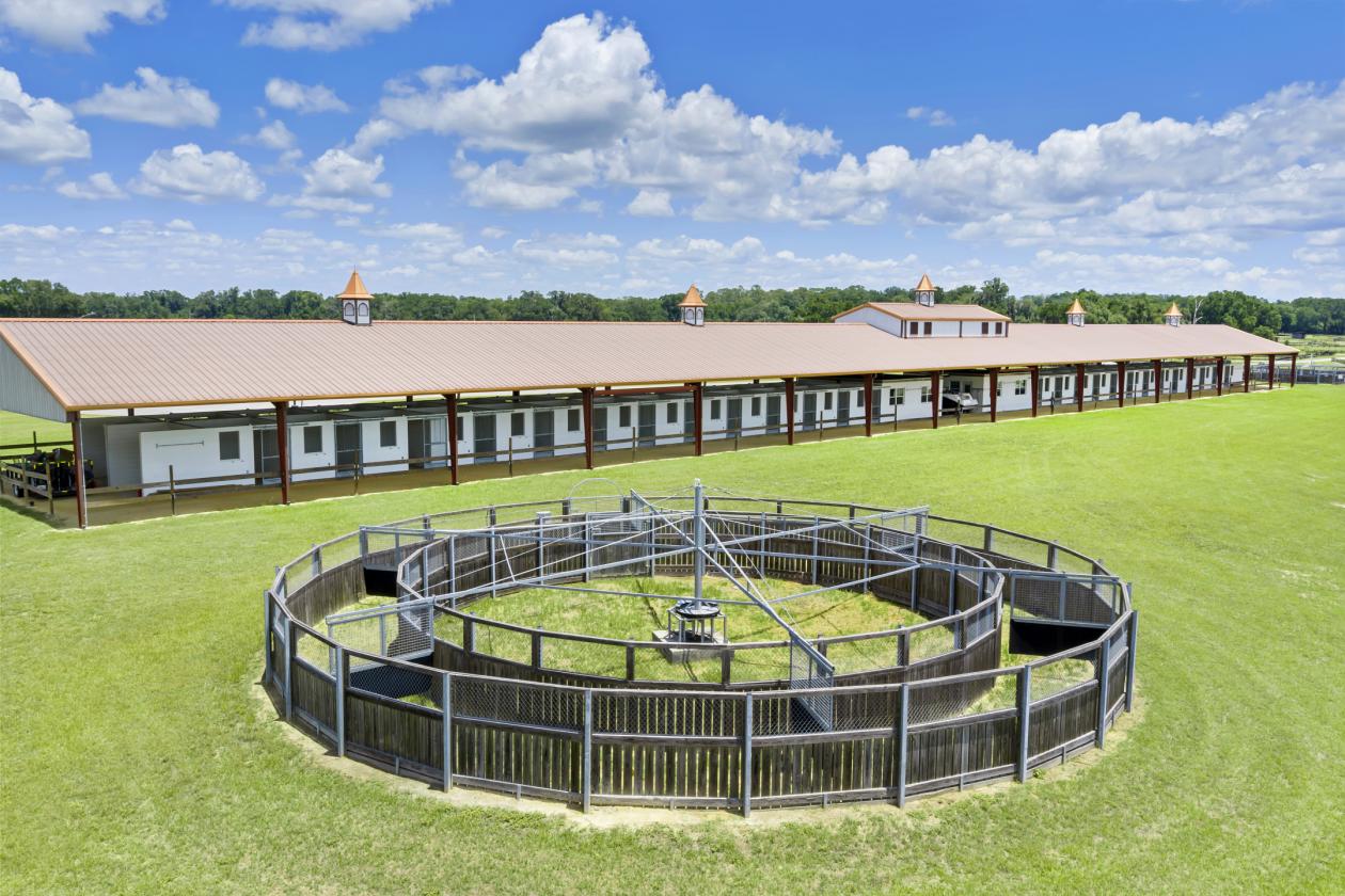BELLEMONT FARM
YOUR PREMIER TRAINING CENTER - photo 5