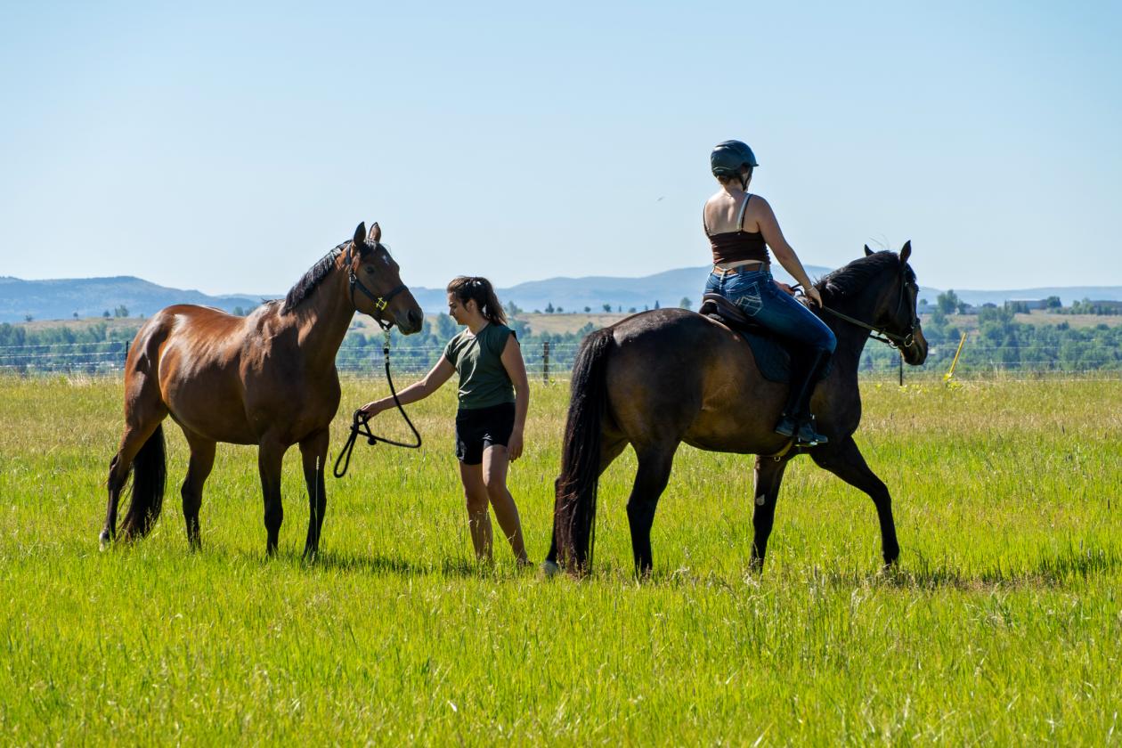 Exceptional horse property with beautiful views - photo 18