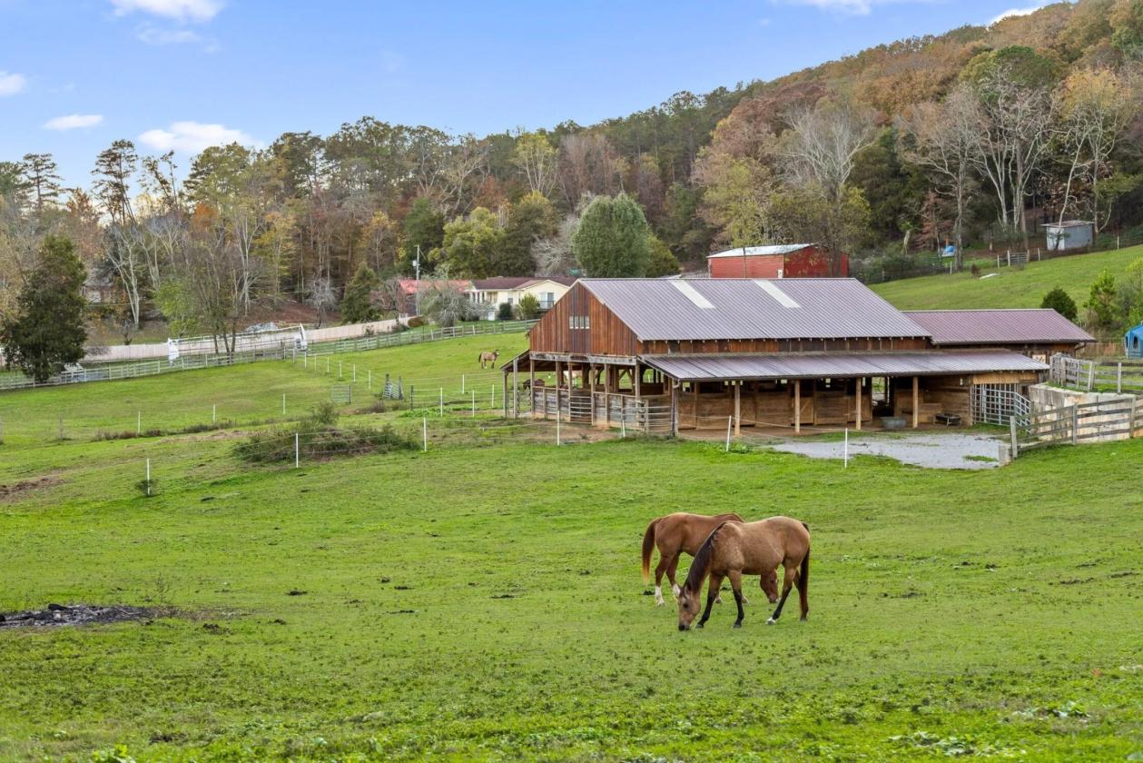 BEAUTIFUL HORSE FARMS WITH VIEWS - photo 1