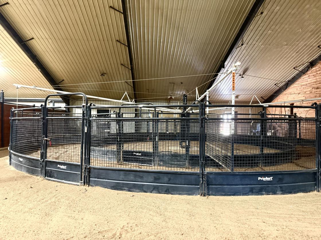 WORLD CLASS EQUESTRIAN ESTATE - photo 10
