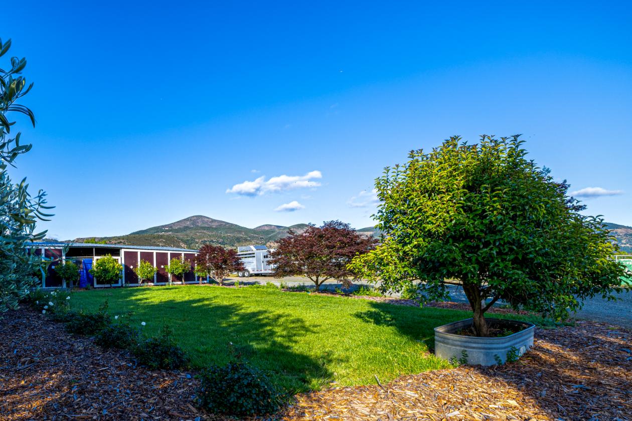 A Rare Two-Parcel Equestrian Estate in Napa Valley - photo 3