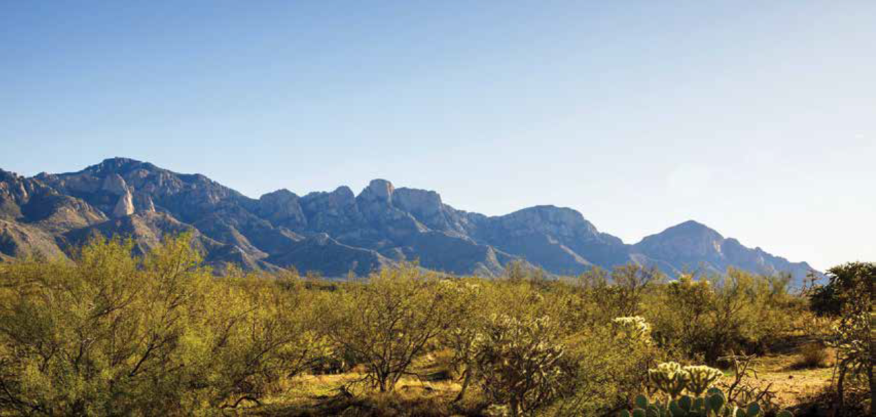 Iconic Tucson Guest Ranch Surrounded by State Park - photo 12
