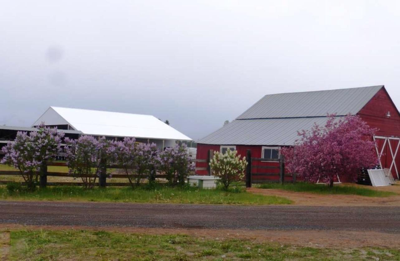 Active Income Producing Equestrian Facility - photo 13