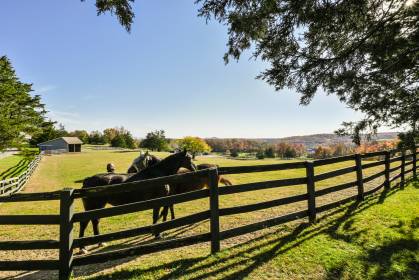 Property image.