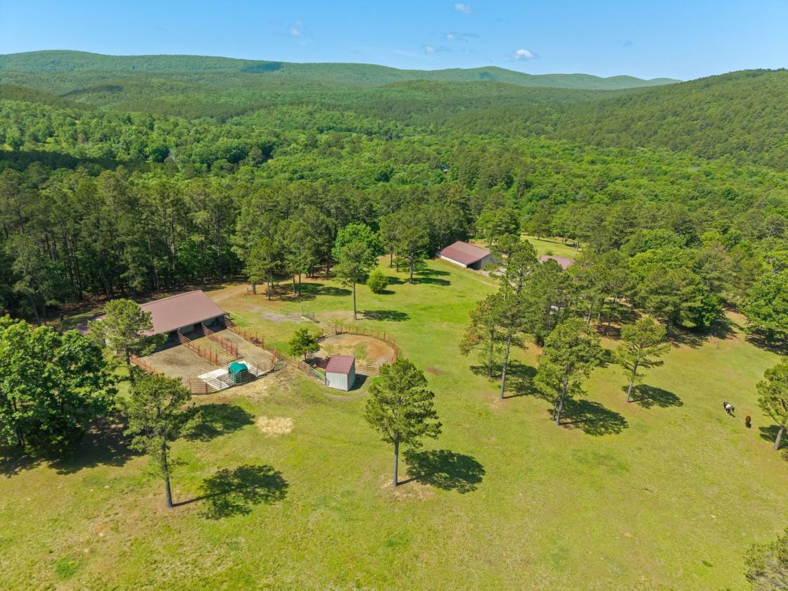 Equestrian Property Bordering National Forest - photo 28