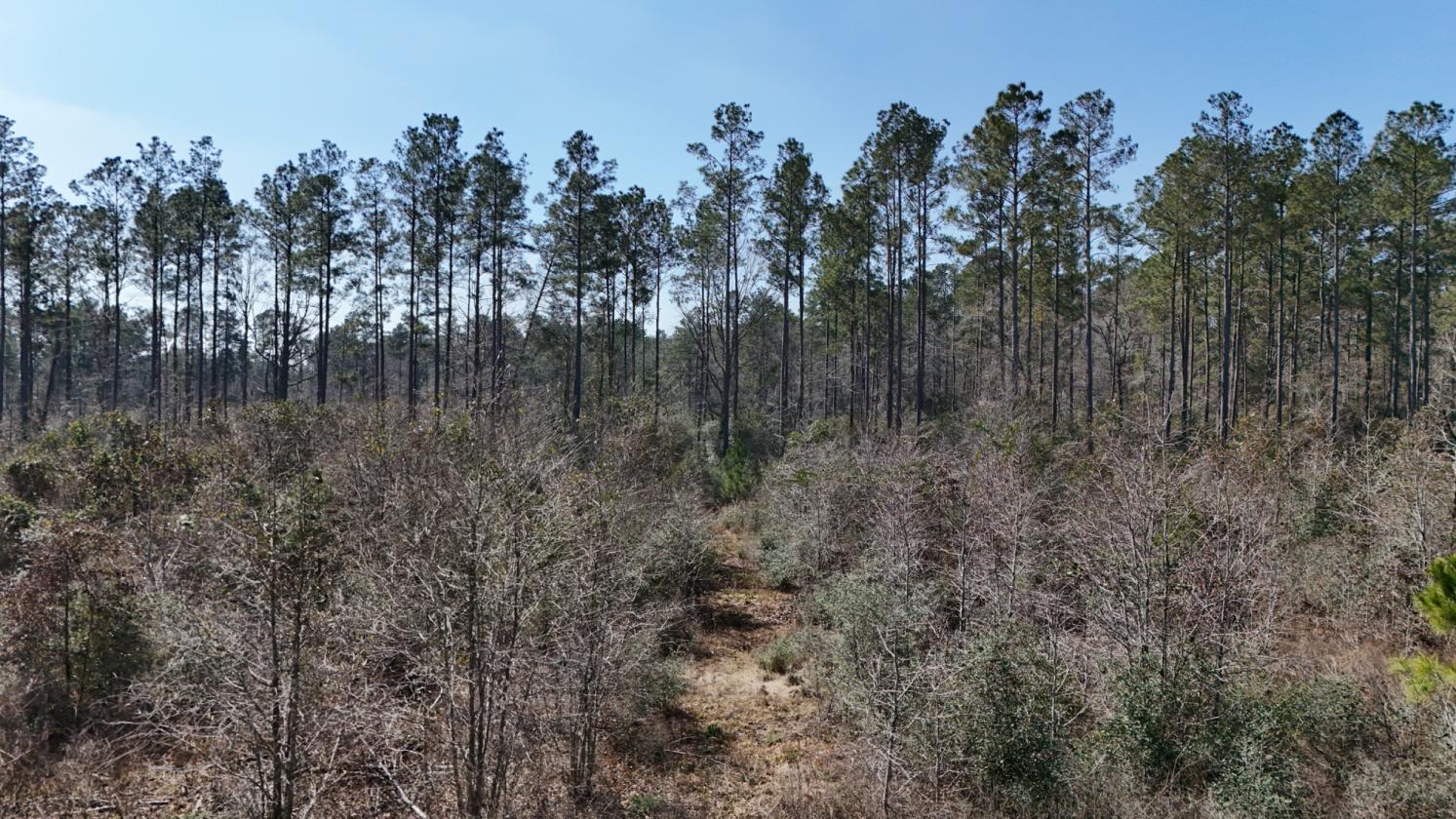 Land available ready to build your dream home - photo 8