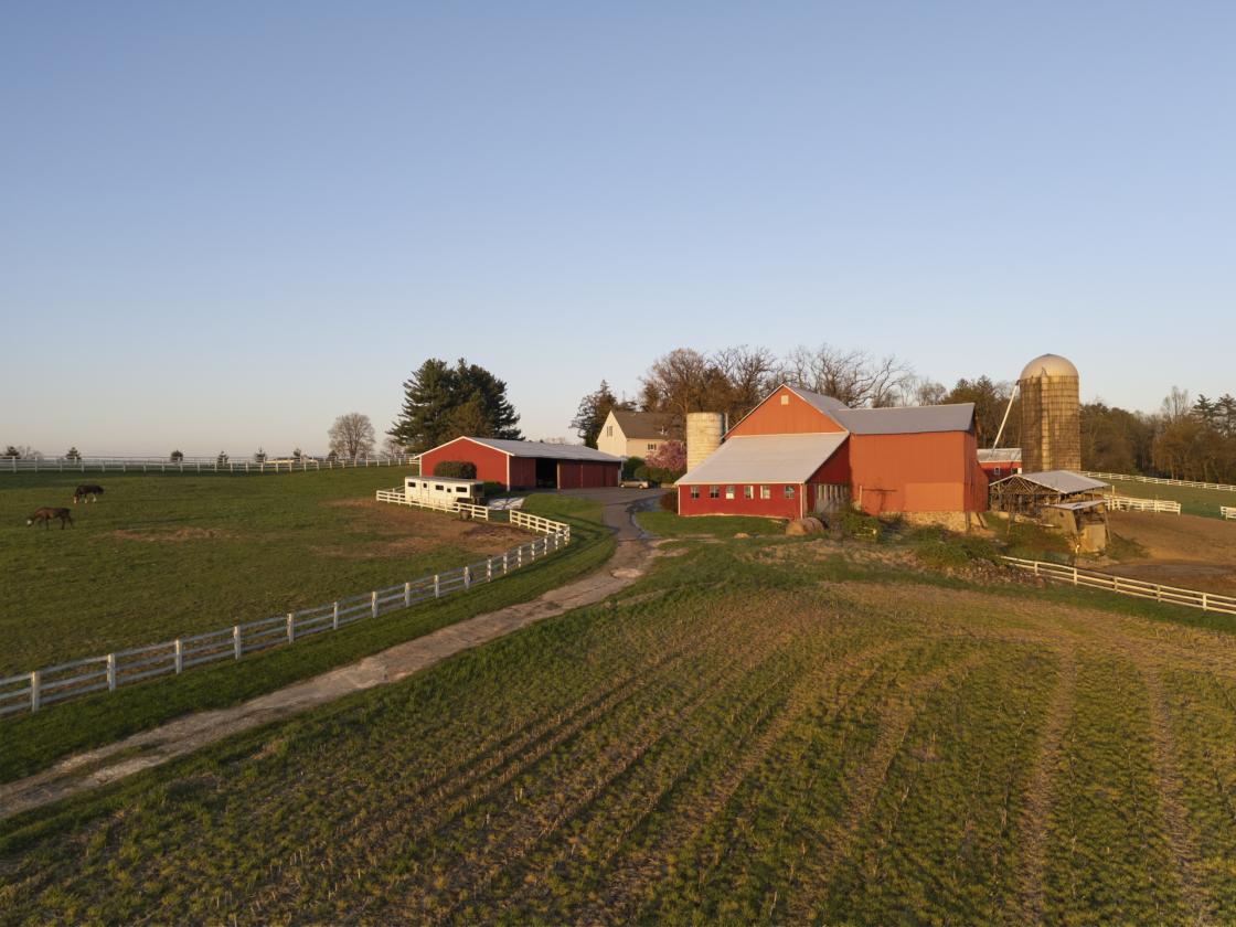 World-Class 115-Acre Luxury Farm Estate - photo 26