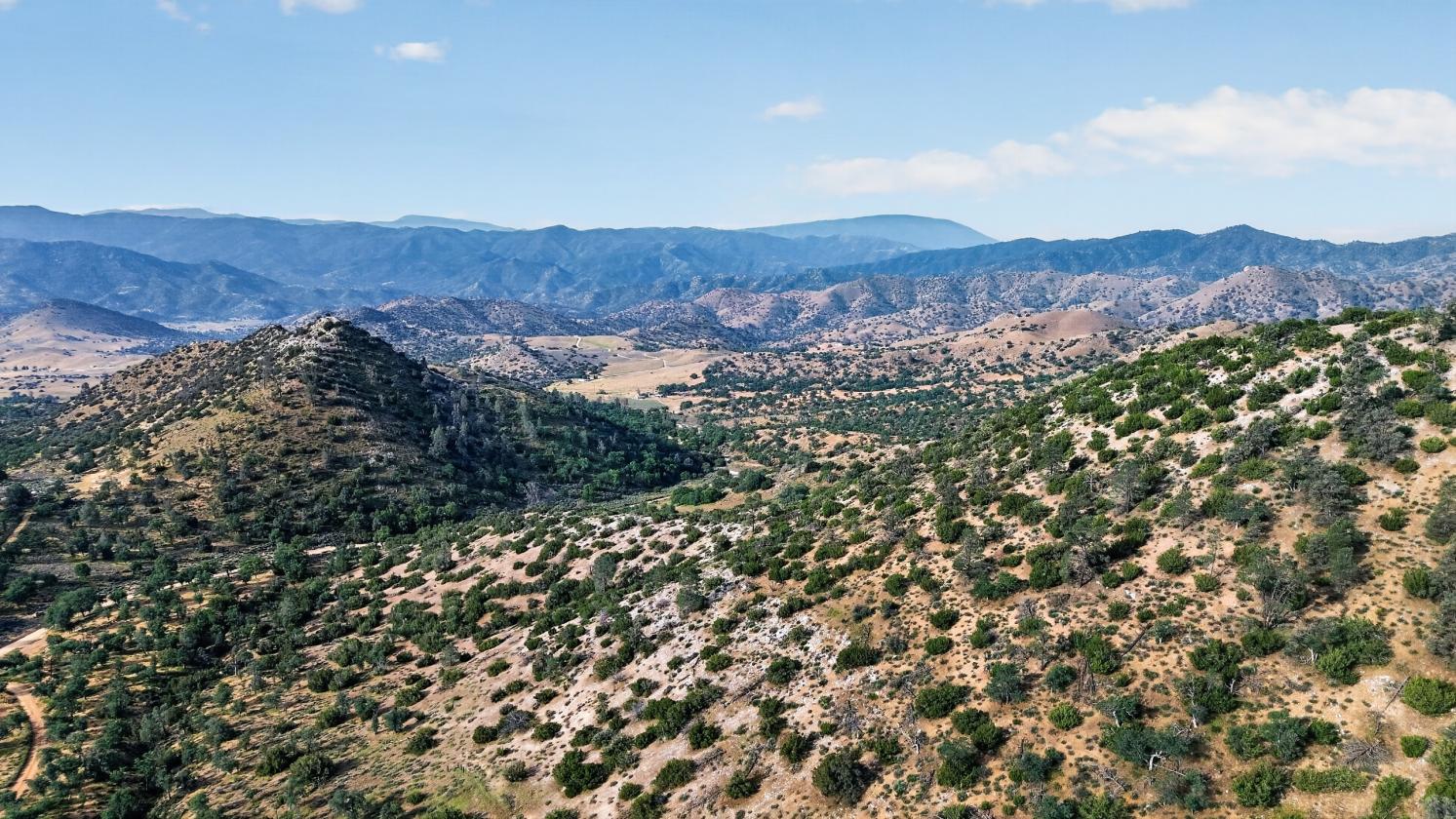 Exquisite 23.6 Acre Equestrian Estate - photo 30