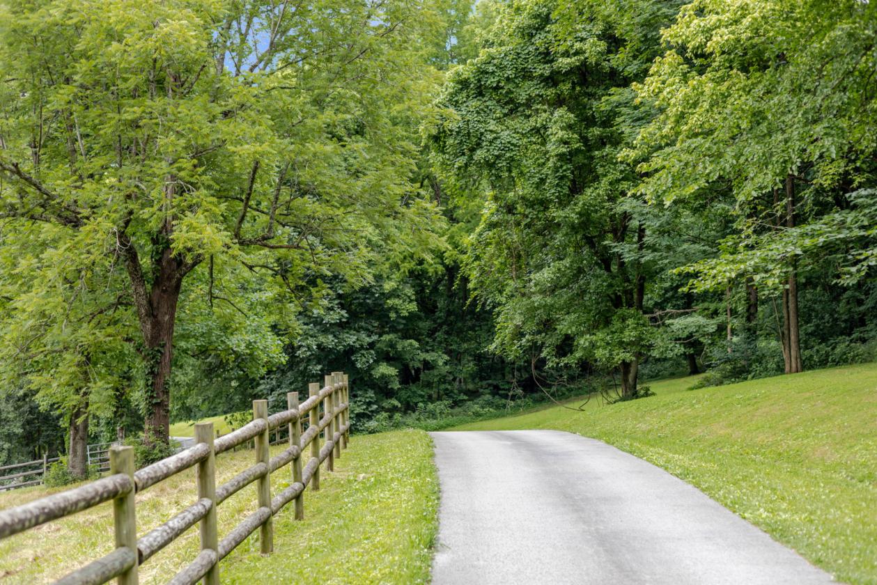 Where Luxury Living Meets The Equestrian Lifestyle - photo 8