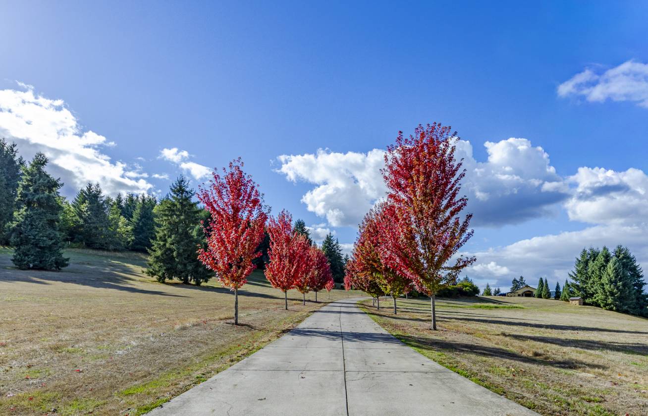 Eugene Ranch Tuscan-inspired equestrian estate | Eugene, Oregon | Horse Ranch ...