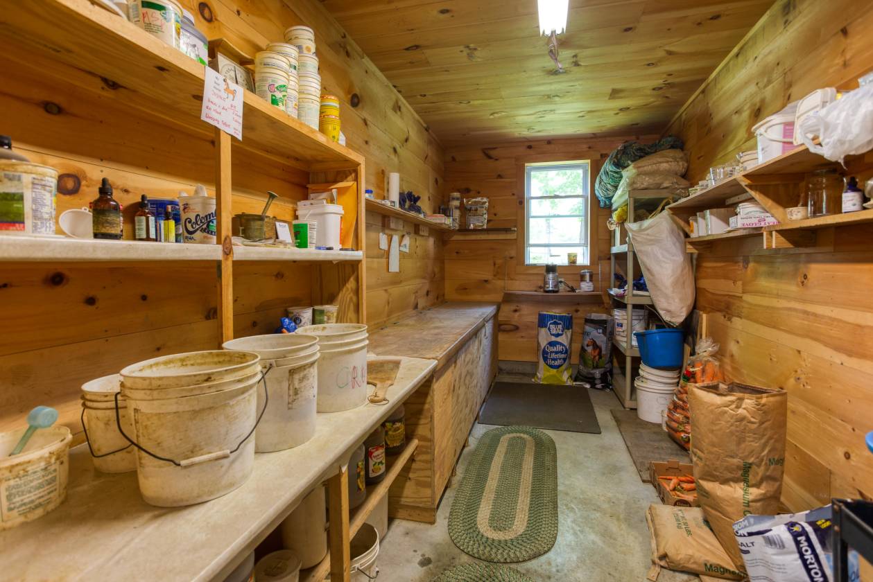 Luxury Equestrian Property with Indoor and two outdoor areas and