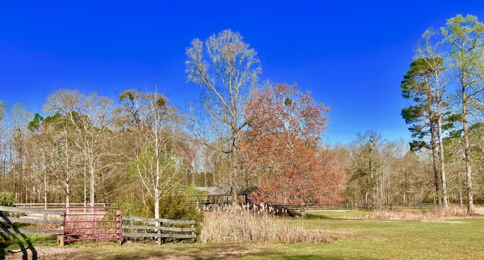 ONE OF A KIND HORSE FARM - photo 21