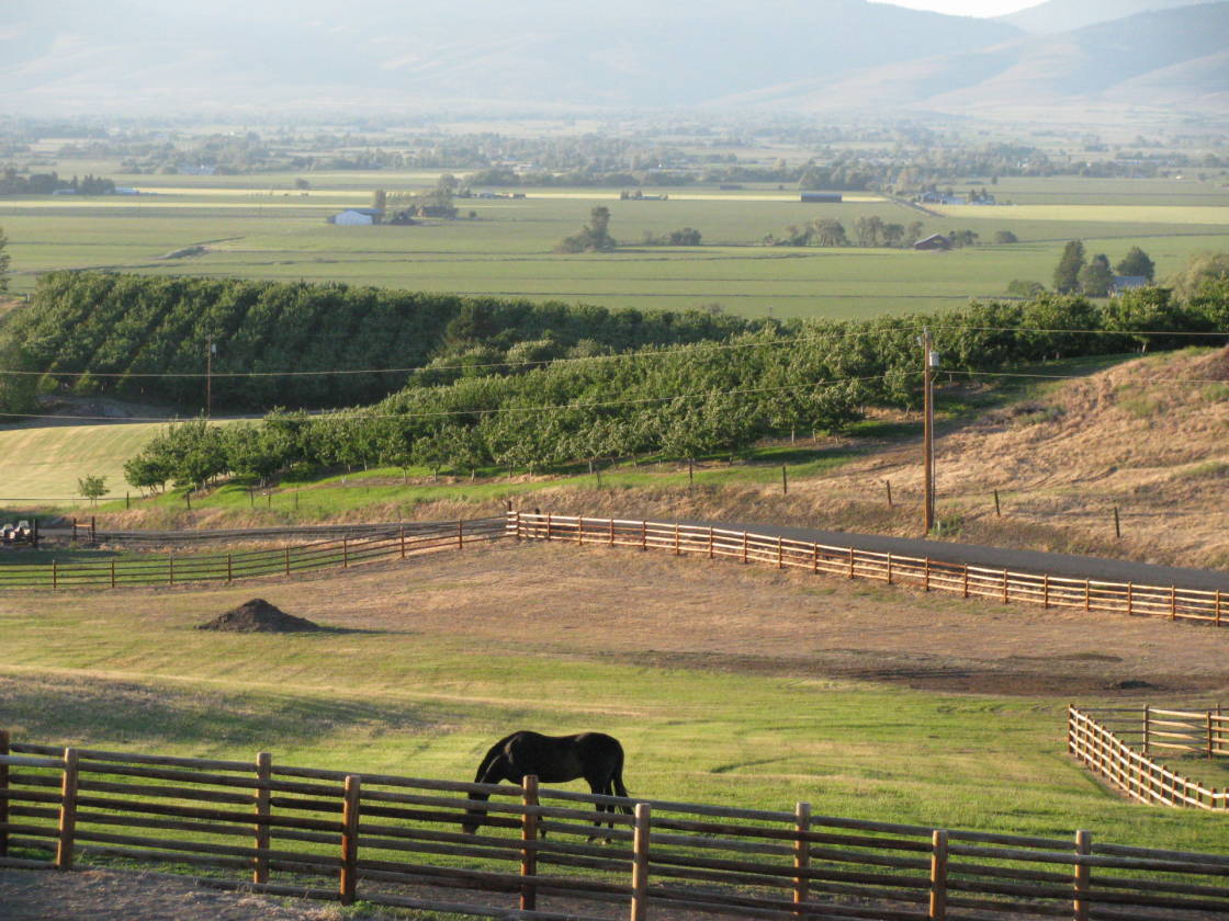 A Sound Investment For Any Horse Person! Ellensburg, Kittitas County, Washington Horse Farm