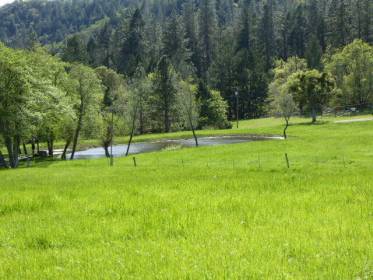 Property image.